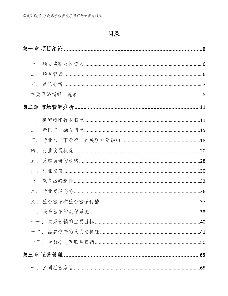 阳泉数码喷印研发项目可行性研究报告模板范文_第1页