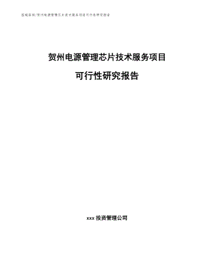 贺州电源管理芯片技术服务项目可行性研究报告_范文参考