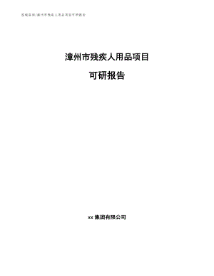 漳州市残疾人用品项目可研报告模板范本