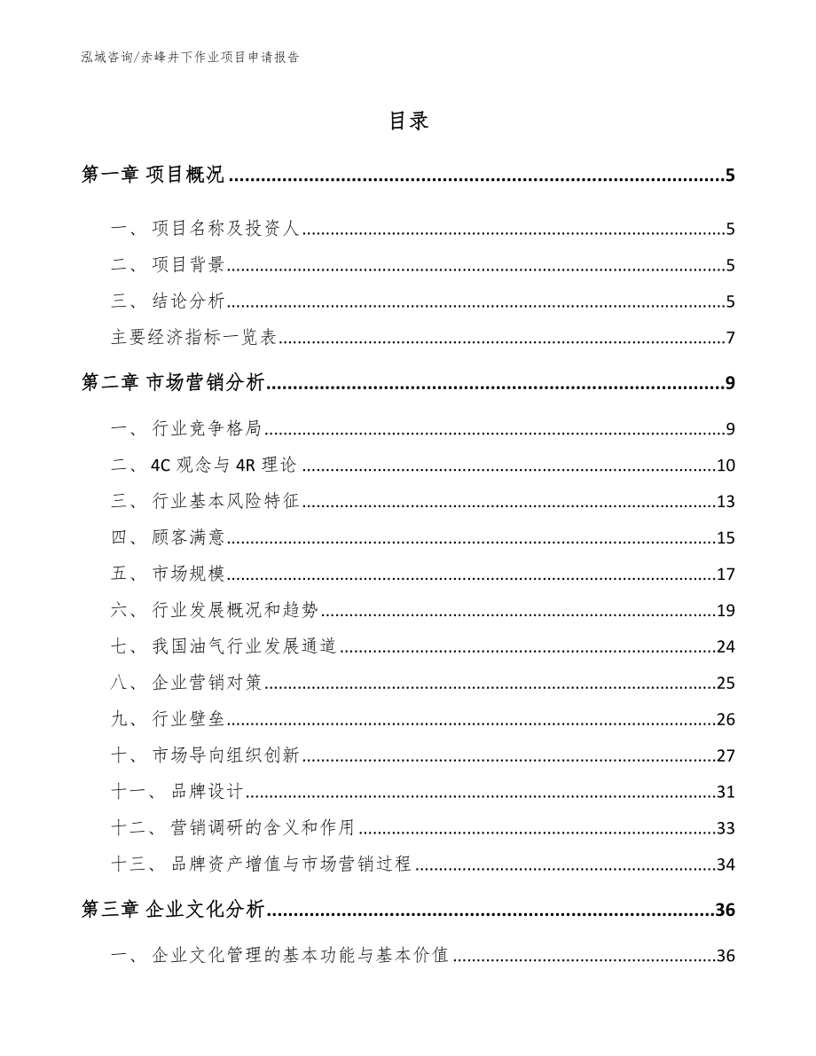 赤峰井下作业项目申请报告范文参考_第1页