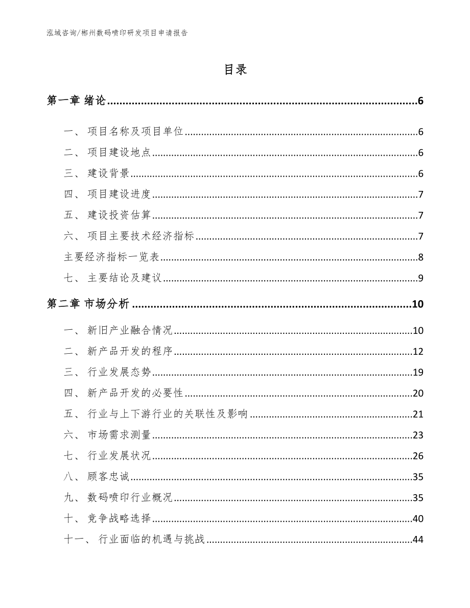 郴州数码喷印研发项目申请报告（模板范本）_第1页