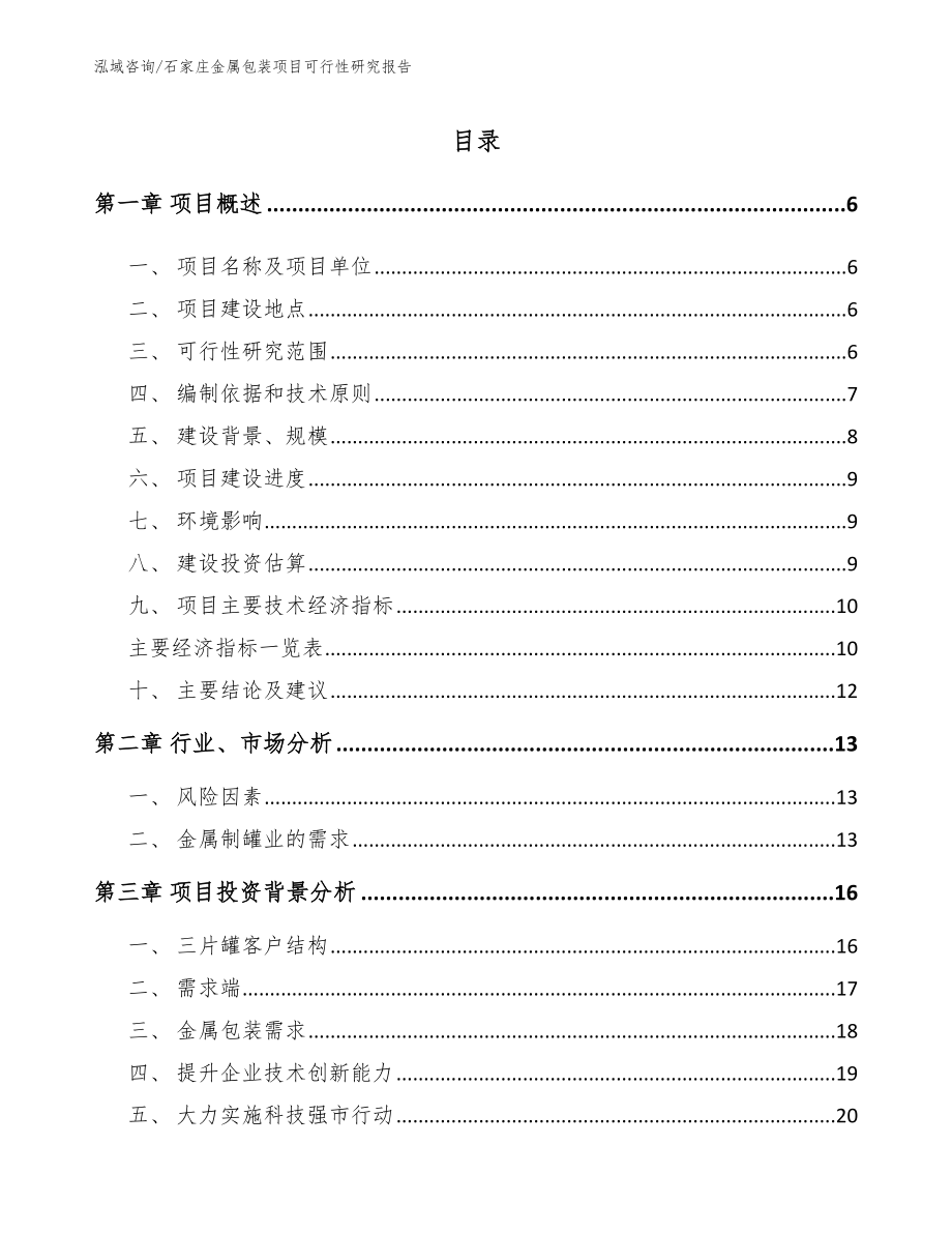 石家庄金属包装项目可行性研究报告（模板）_第1页