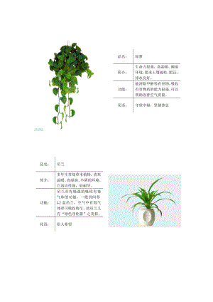 常见绿色植物图表