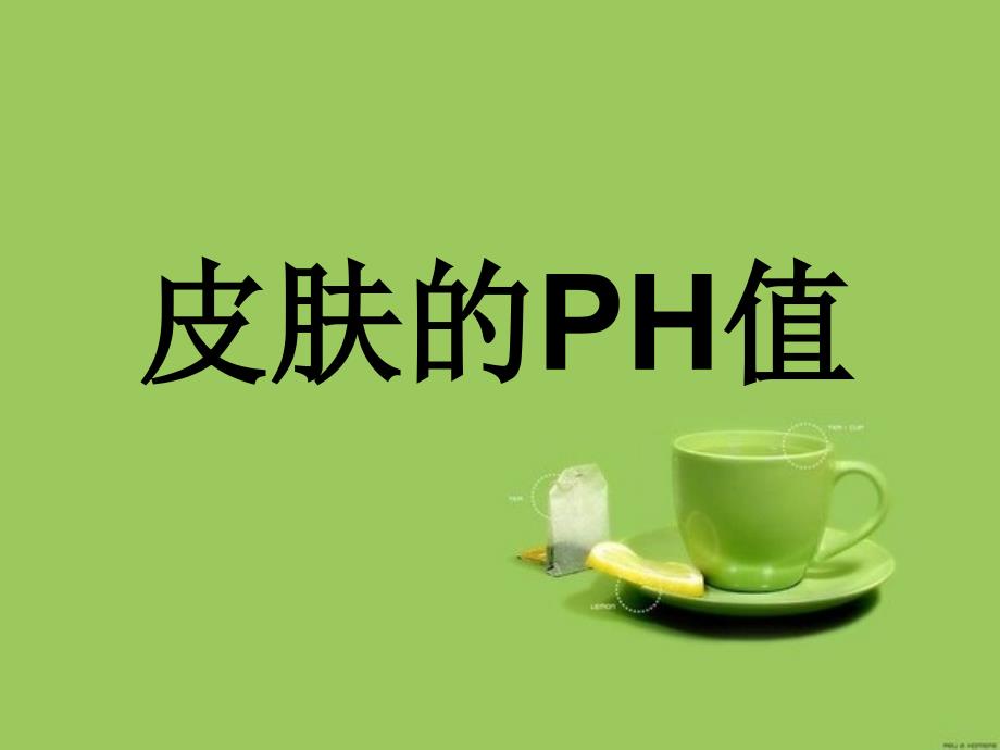 皮肤的PH值_第1页