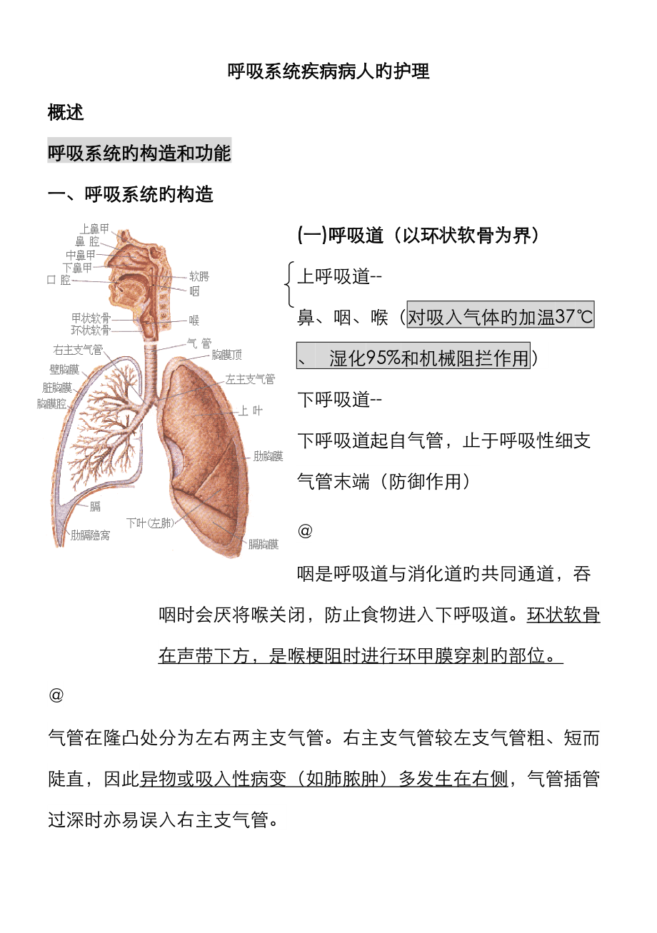 2023年内科护理学笔记呼吸系统_第1页