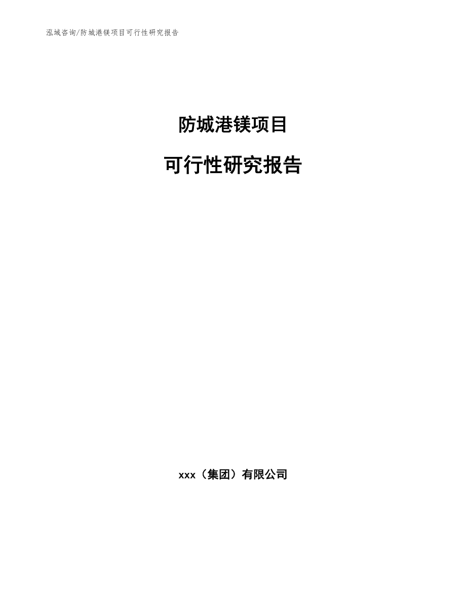 防城港镁项目可行性研究报告（模板范本）_第1页