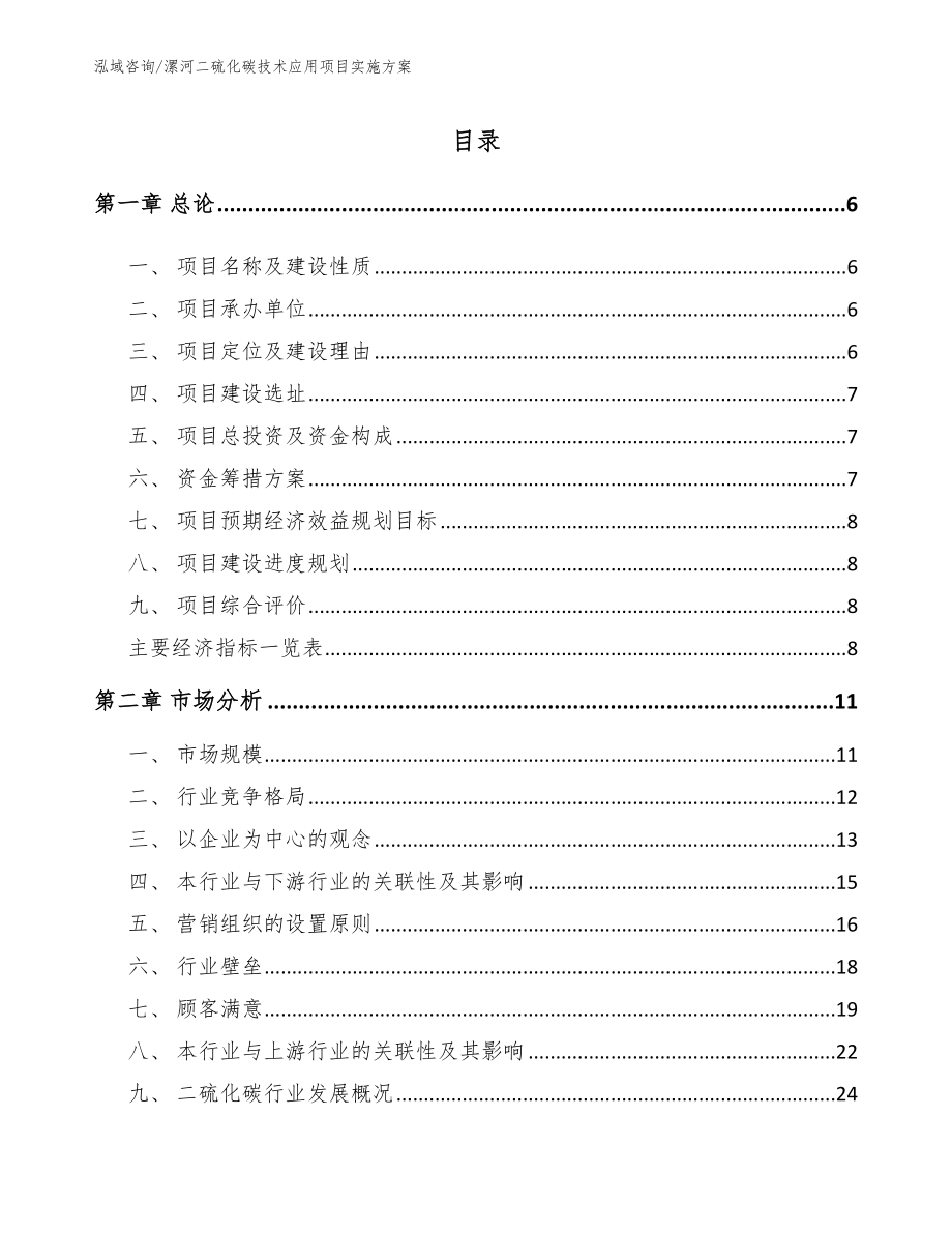 漯河二硫化碳技术应用项目实施方案_参考模板_第1页