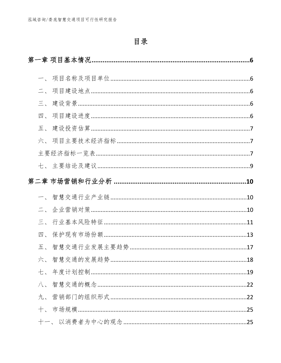 娄底智慧交通项目可行性研究报告范文参考_第1页