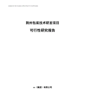 荆州包装技术研发项目可行性研究报告【范文】