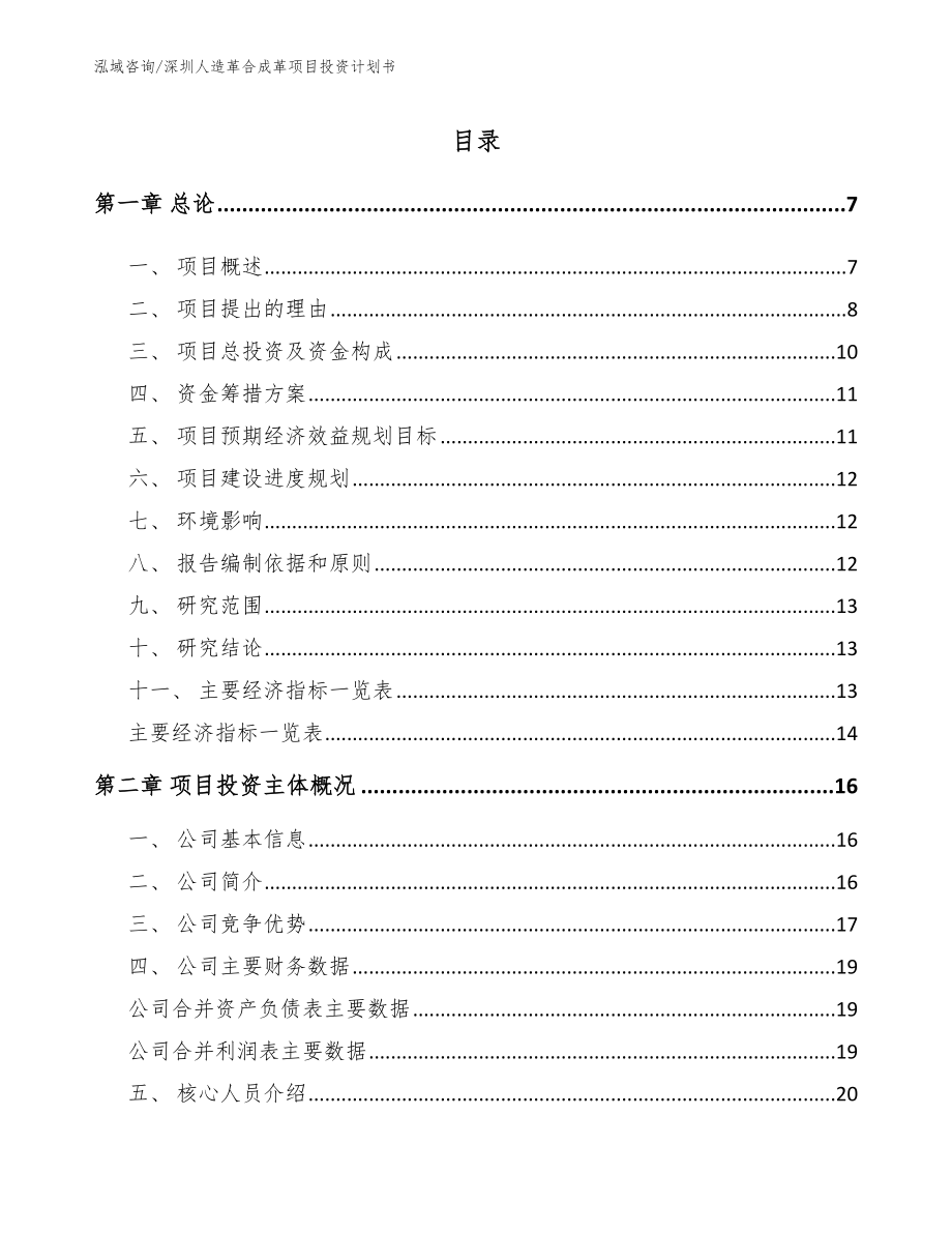 深圳人造革合成革项目投资计划书模板参考_第1页