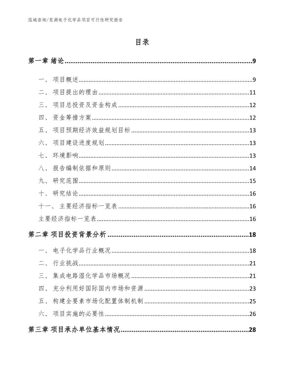 芜湖电子化学品项目可行性研究报告_第1页