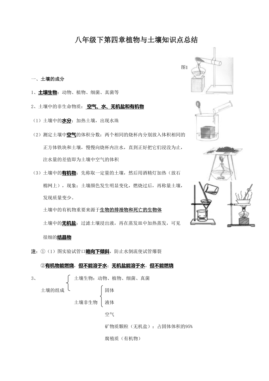 2023年八年级下植物与土壤知识点总结_第1页