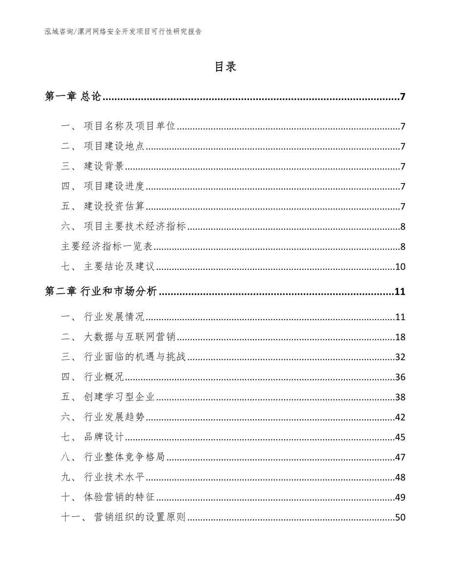 漯河网络安全开发项目可行性研究报告模板范本_第1页