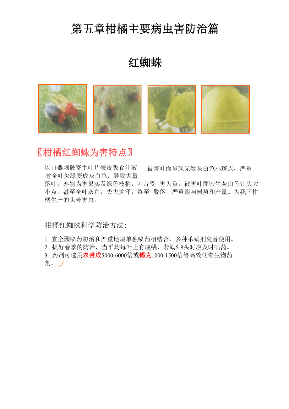 柑橘主要病虫害防治篇_第1页