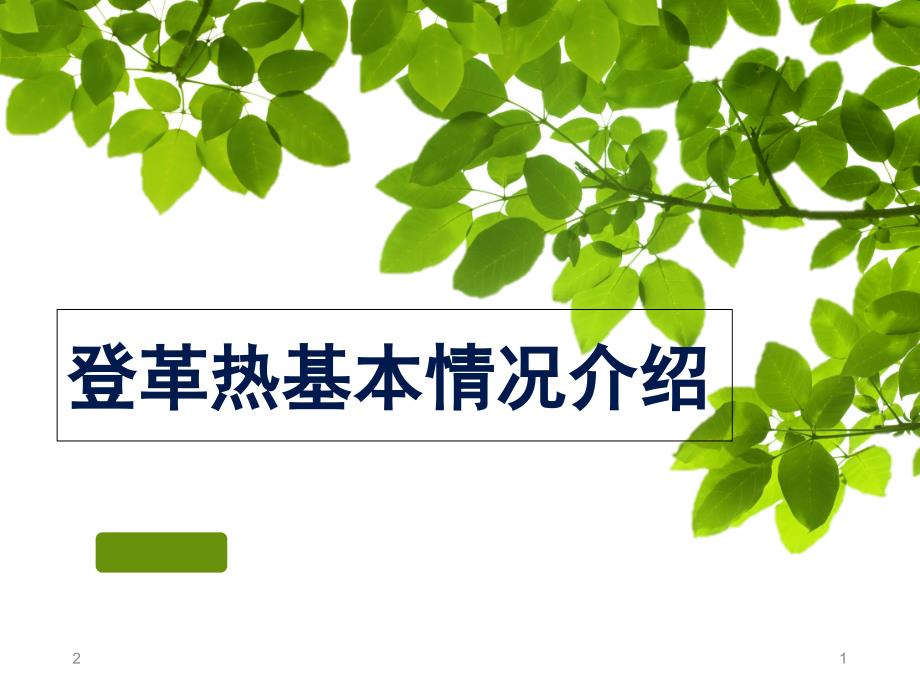 登革热基本情况介绍PPT演示课件_第1页