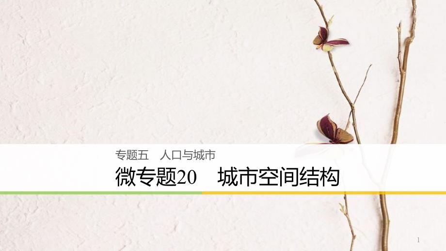 浙江省高考地理二轮复习5人口与城市微专题20城市空间结构课件_第1页