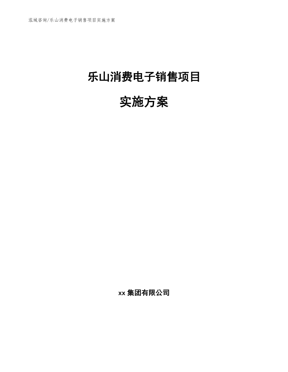 乐山消费电子销售项目实施方案_第1页