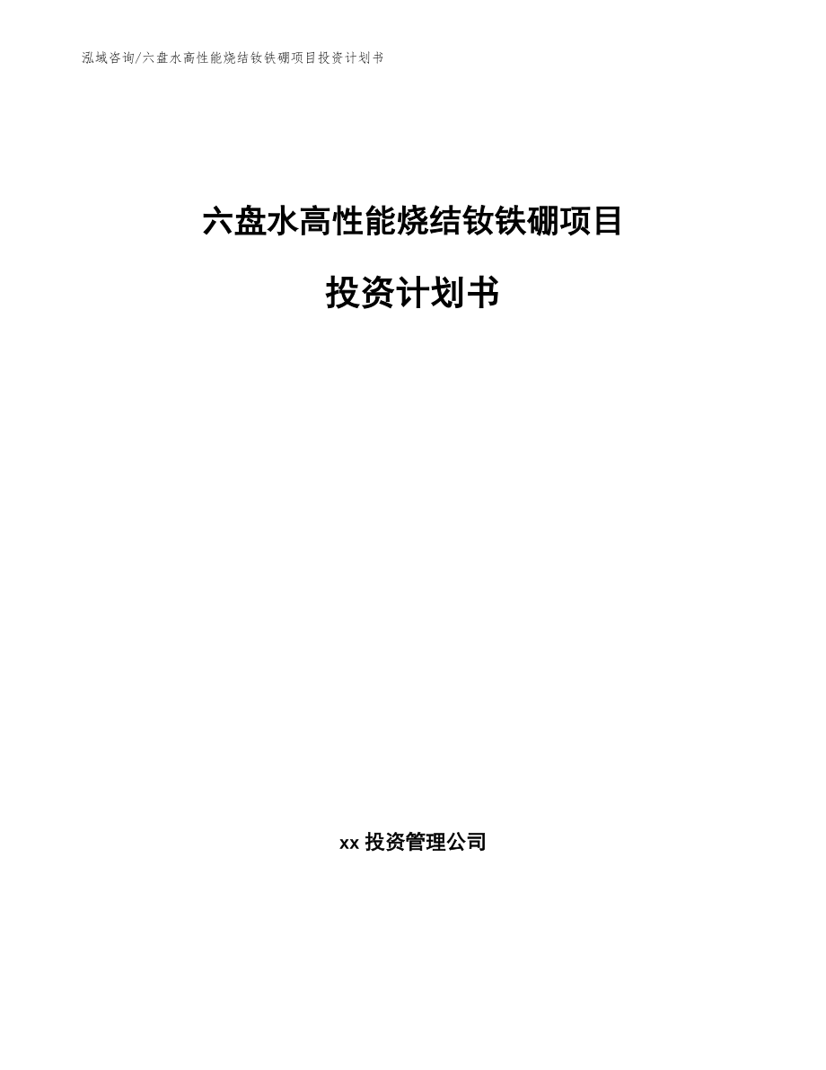 六盘水高性能烧结钕铁硼项目投资计划书_第1页