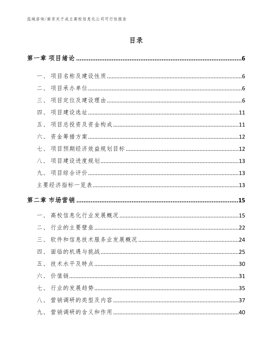 南京关于成立高校信息化公司可行性报告（范文模板）_第1页