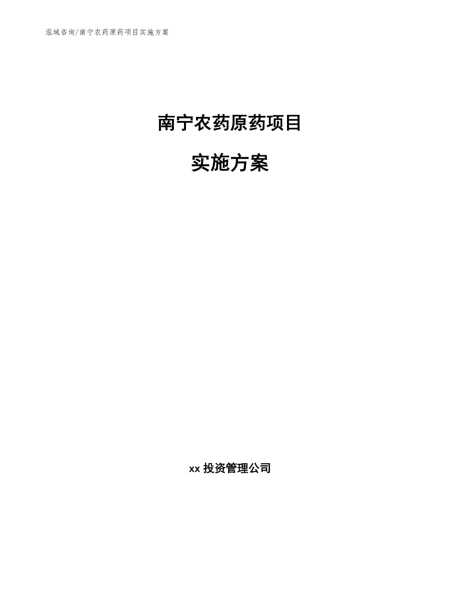 南宁农药原药项目实施方案【模板】_第1页