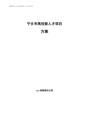 宁乡市高技能人才项目方案