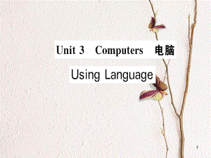 高中英语 Unit 3 Computers Using Language课件 新人教版必修2