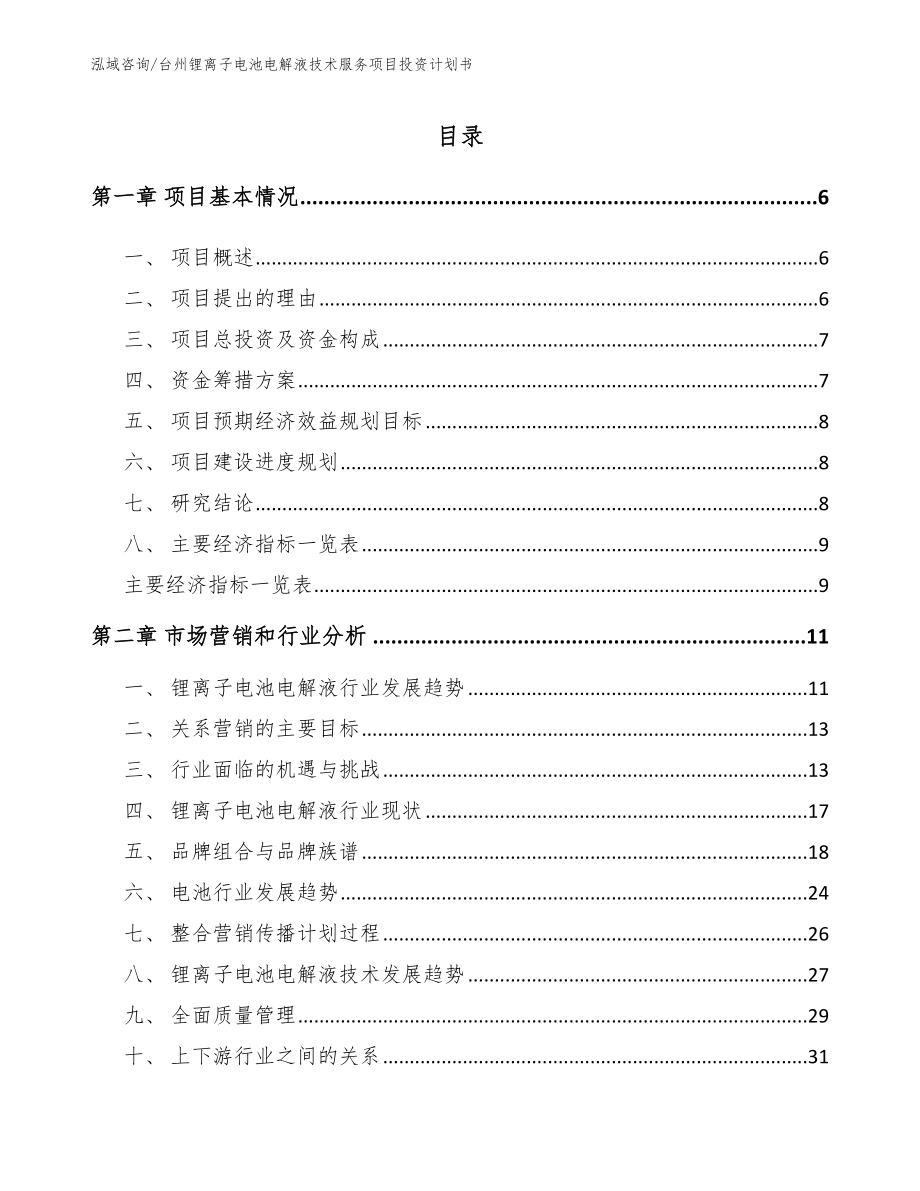 台州锂离子电池电解液技术服务项目投资计划书（范文）_第1页