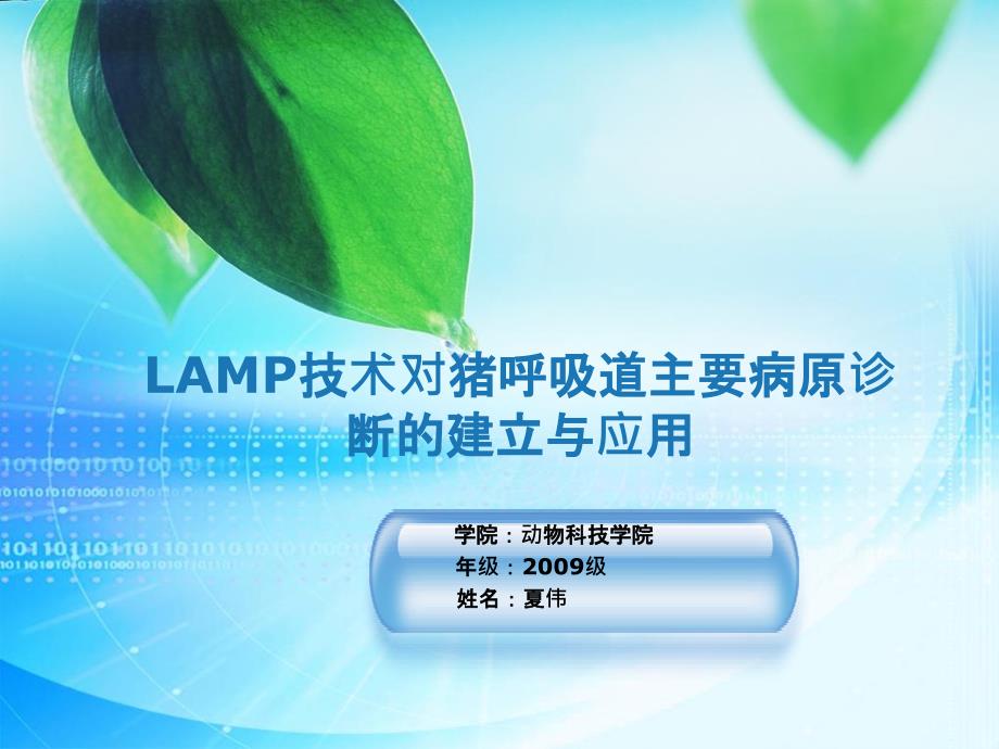 LAMP技术对猪呼吸道主要病原诊断课件_第1页