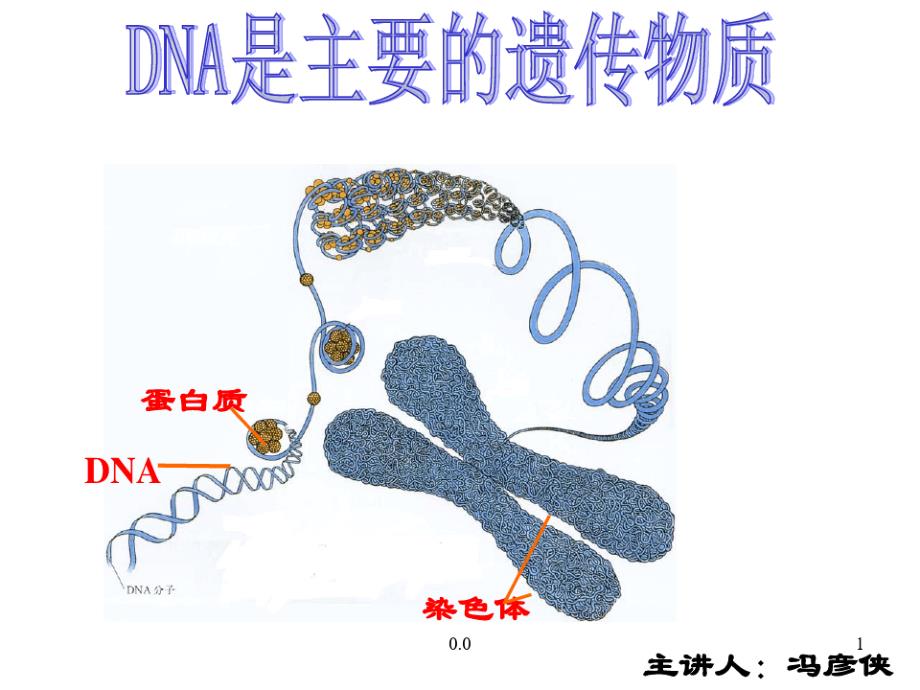 归纳肺炎双球菌转化试验课件_第1页