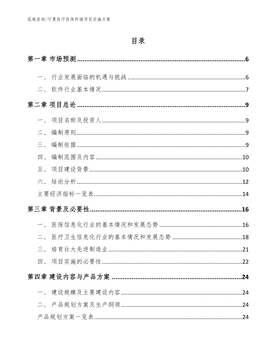 宁夏医疗医保终端项目实施方案范文_第1页