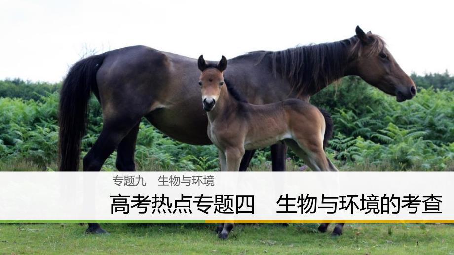 （浙江选考）高三生物二轮专题复习 专题九 生物与环境 高考热点专题四 生物与环境的考查课件 新人教版_第1页