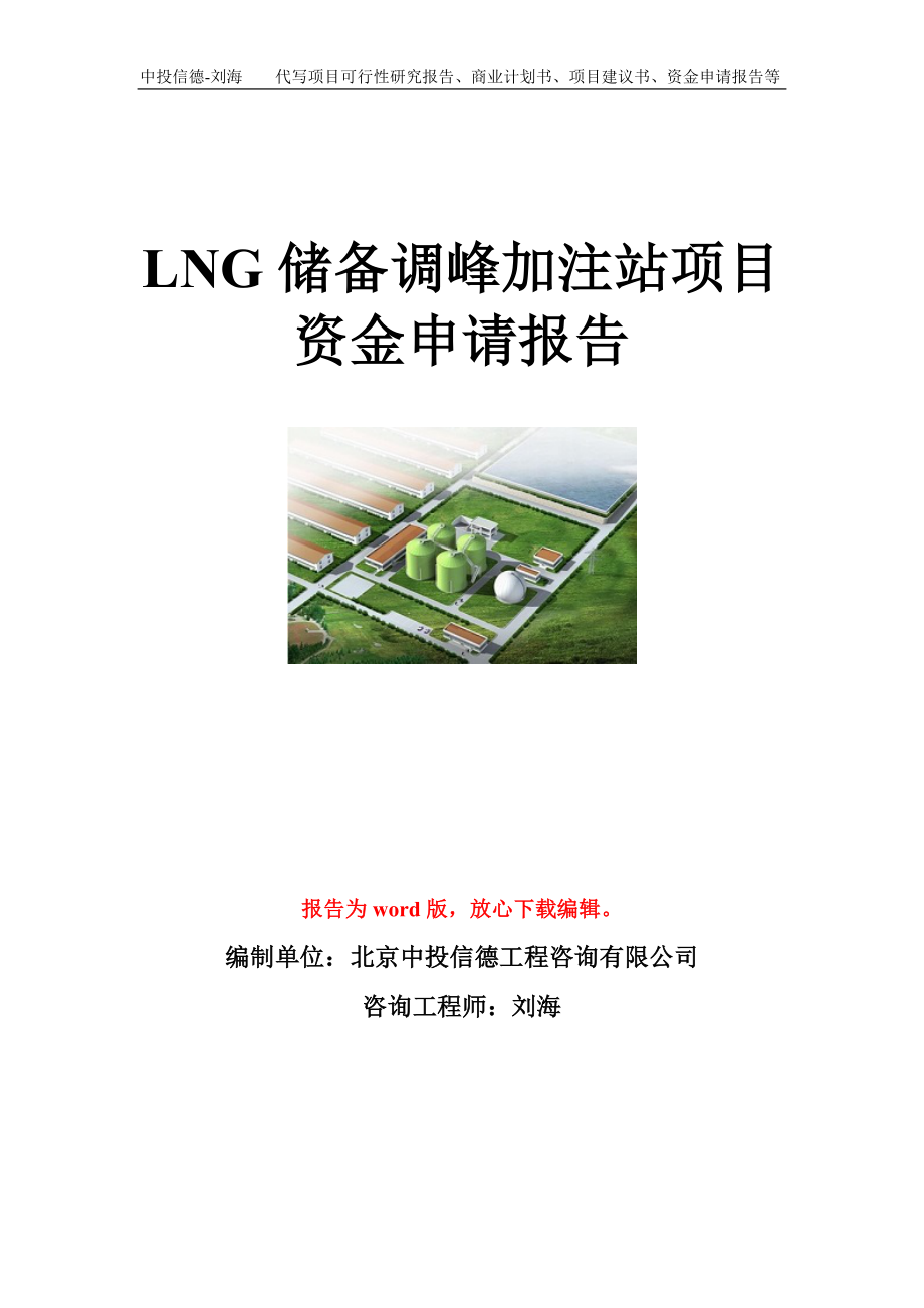 LNG储备调峰加注站项目资金申请报告模板_第1页
