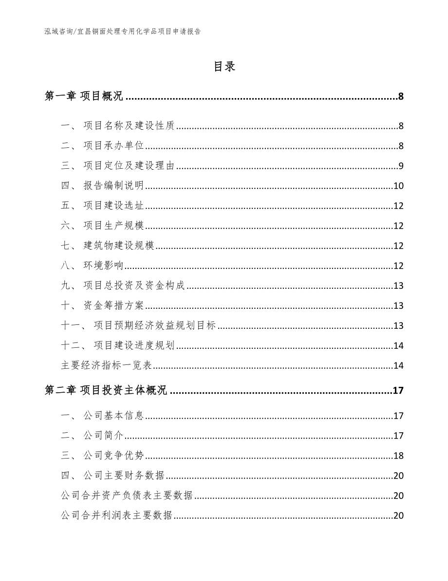 宜昌铜面处理专用化学品项目申请报告_范文_第1页