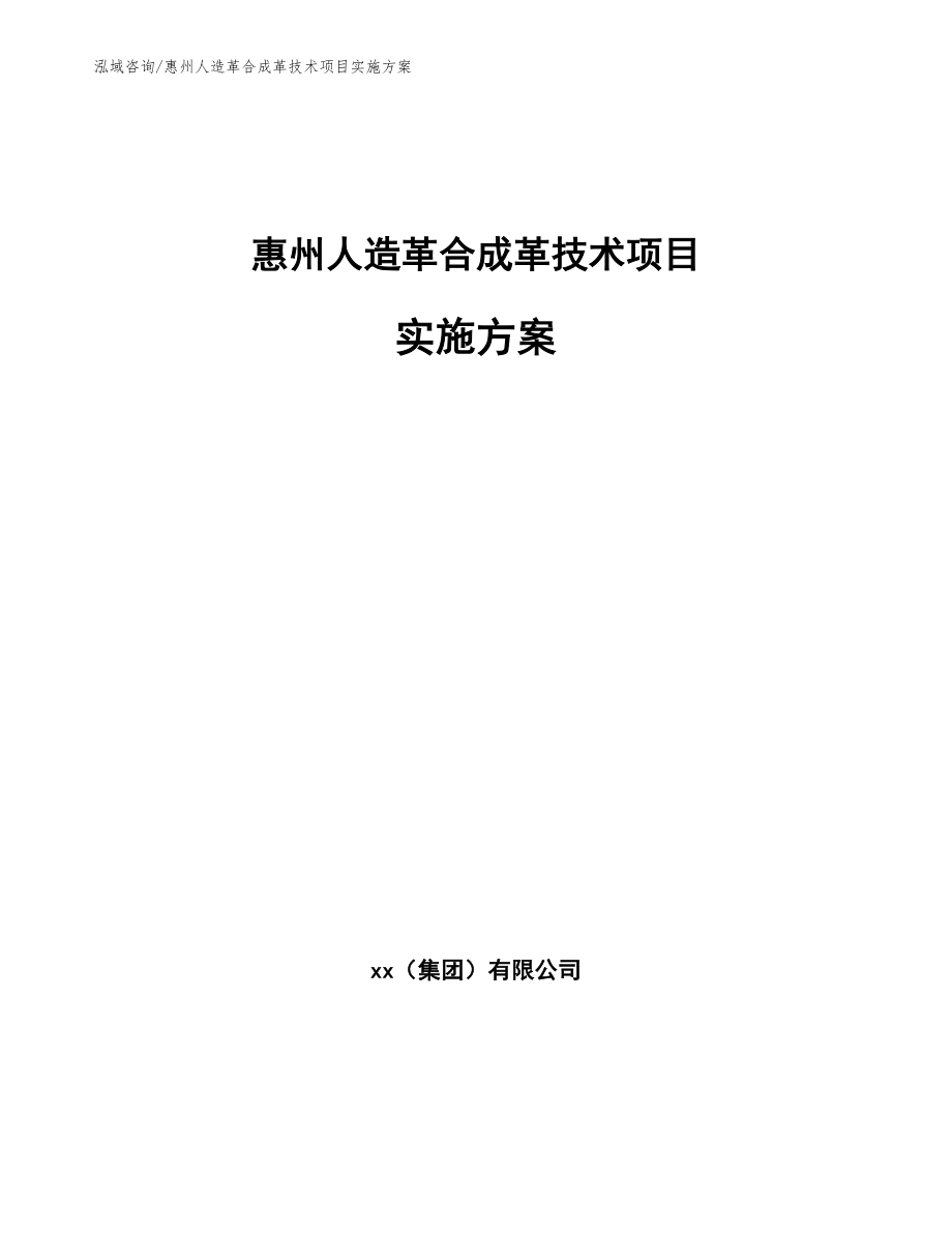 惠州人造革合成革技术项目实施方案（模板范本）_第1页