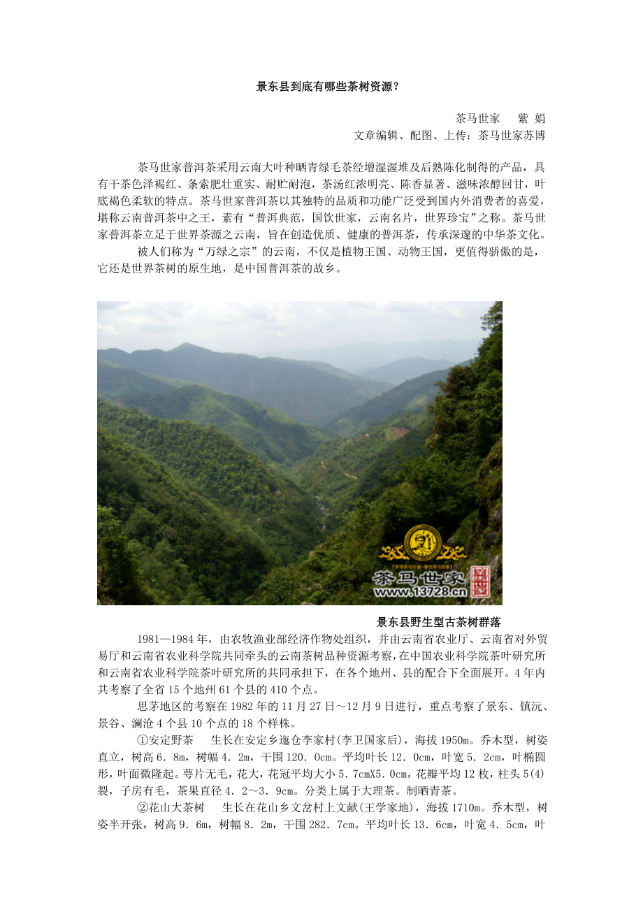 景东县到底有哪些茶树资源？_第1页