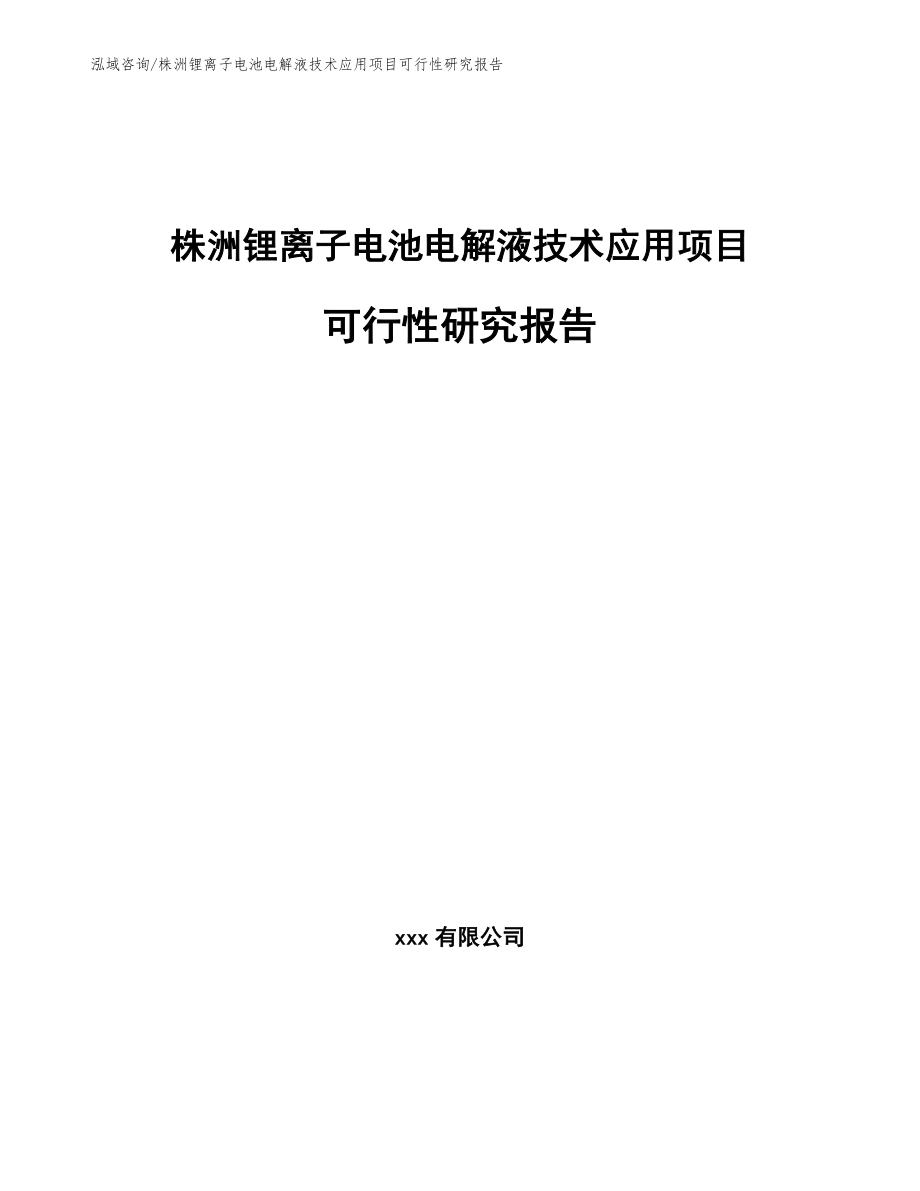 株洲锂离子电池电解液技术应用项目可行性研究报告参考范文_第1页