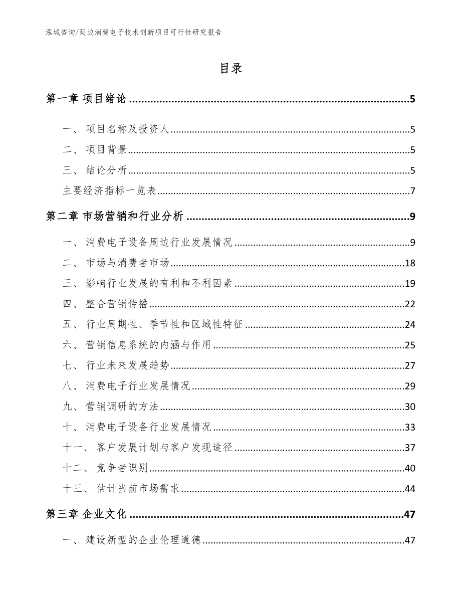 延边消费电子技术创新项目可行性研究报告_范文_第1页