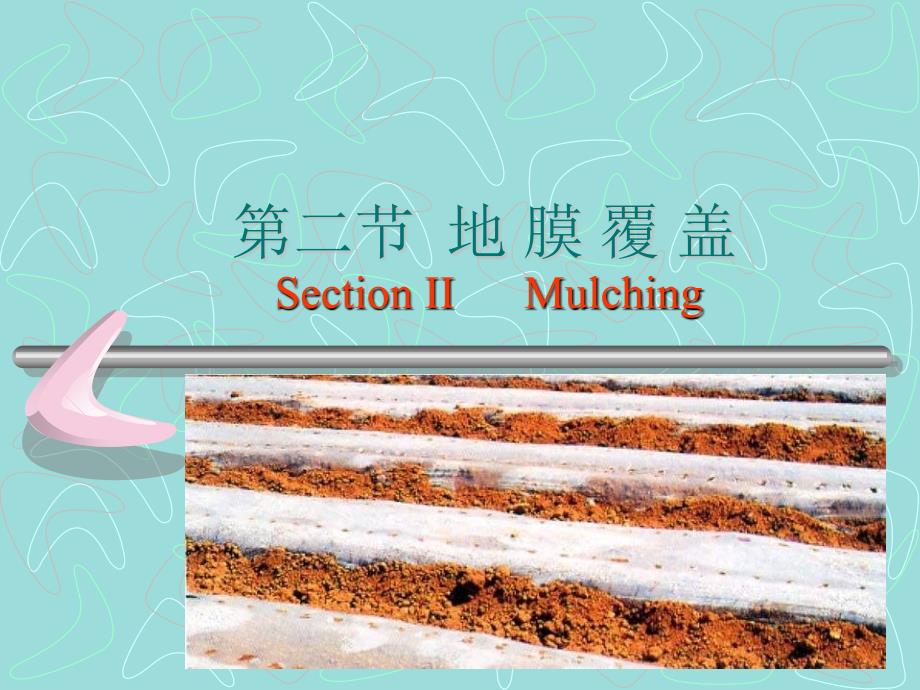 【教学课件】第二节地膜覆盖SectionIIMulching_第1页