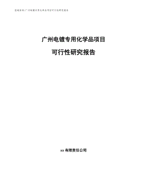 广州电镀专用化学品项目可行性研究报告【范文模板】