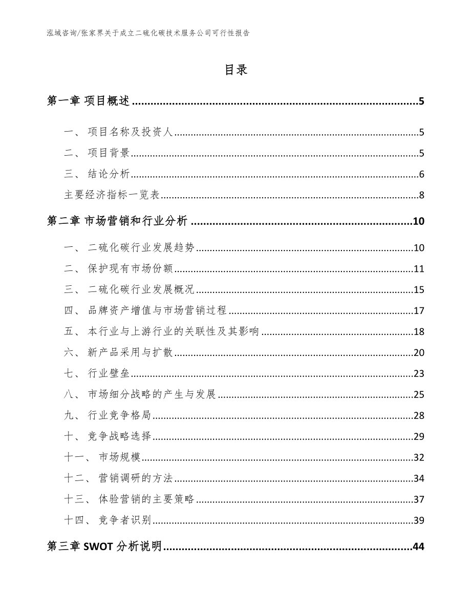 张家界关于成立二硫化碳技术服务公司可行性报告（模板范文）_第1页