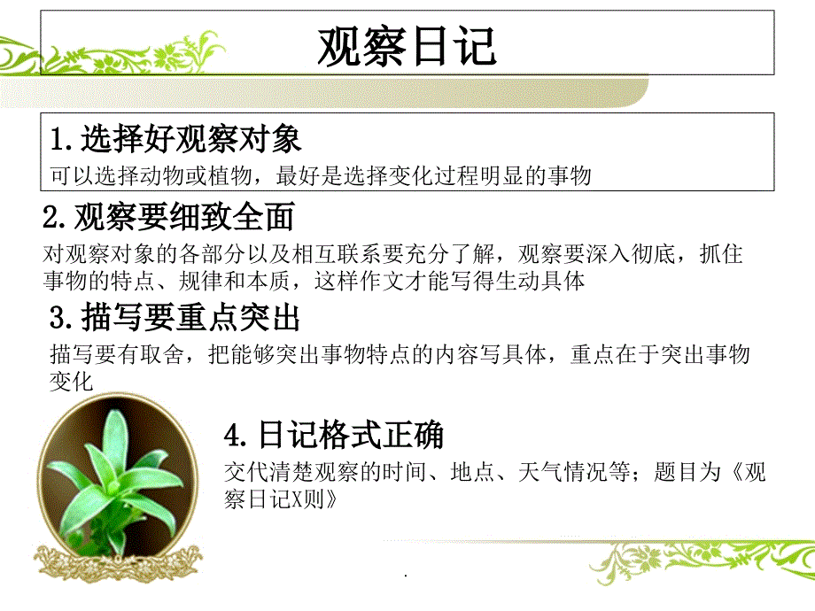 綠豆芽觀察日記_第1頁