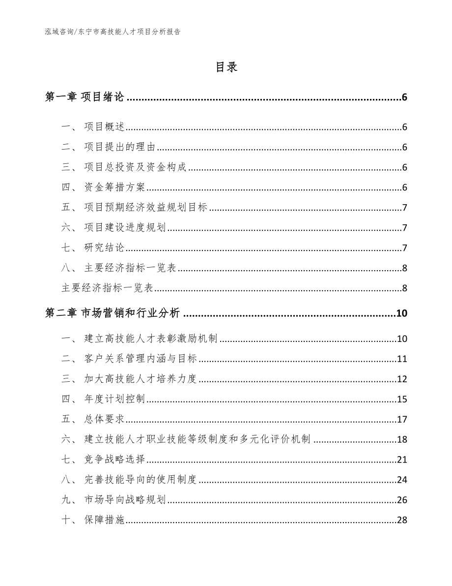 东宁市高技能人才项目分析报告_范文模板_第1页
