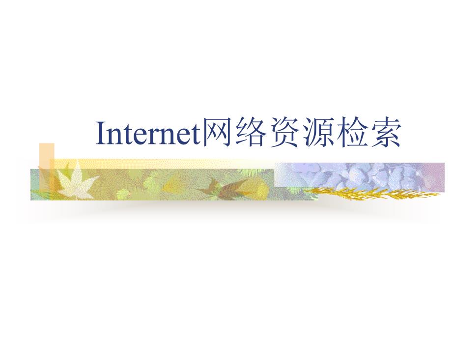 Internet基础知识与搜索引擎_第1页