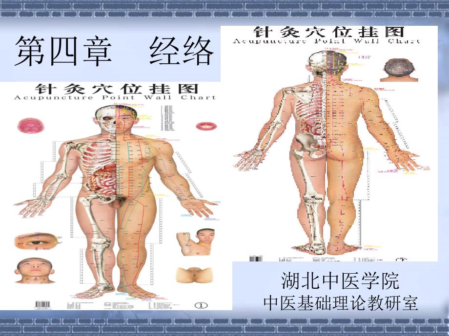 中基课件-经络学说_第1页