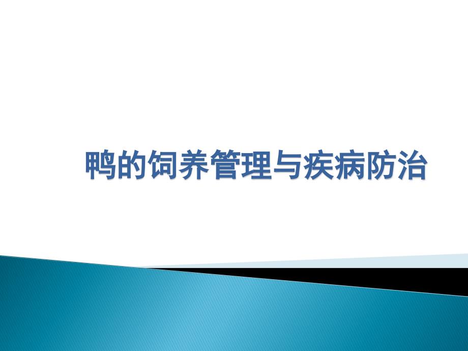 鸭的饲养管理和疾病防治ppt课件_第1页