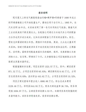 杭州关于成立轮胎技术应用公司可行性报告（模板参考）