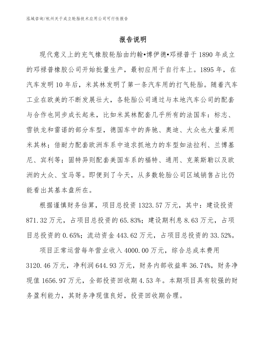 杭州关于成立轮胎技术应用公司可行性报告（模板参考）_第1页
