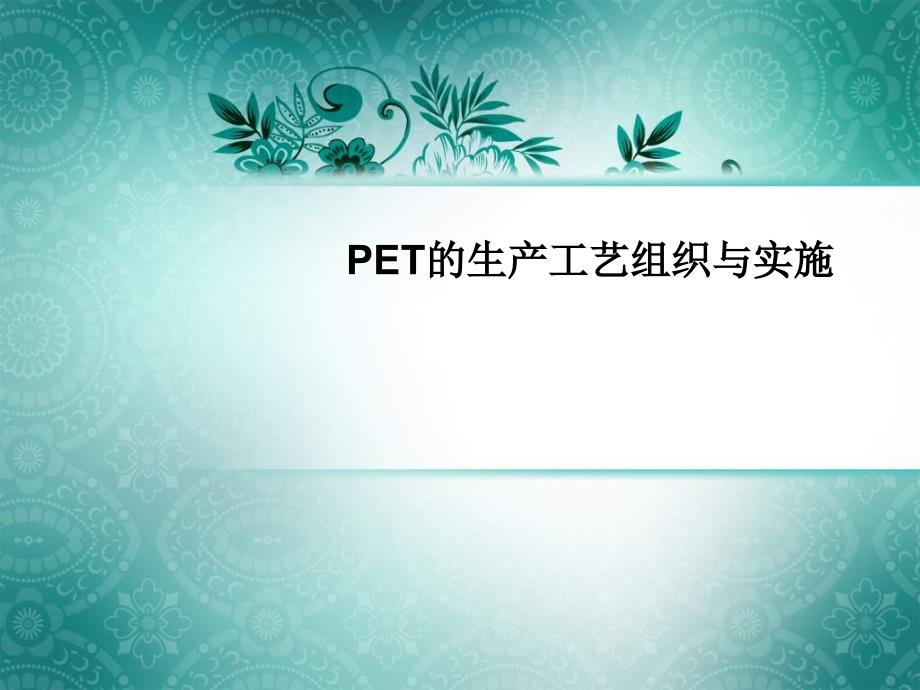 PET的生产工艺组织与实施_第1页