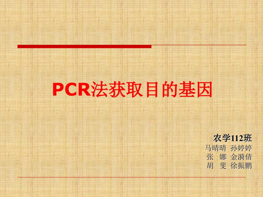 PCR法获取目的基因_第1页