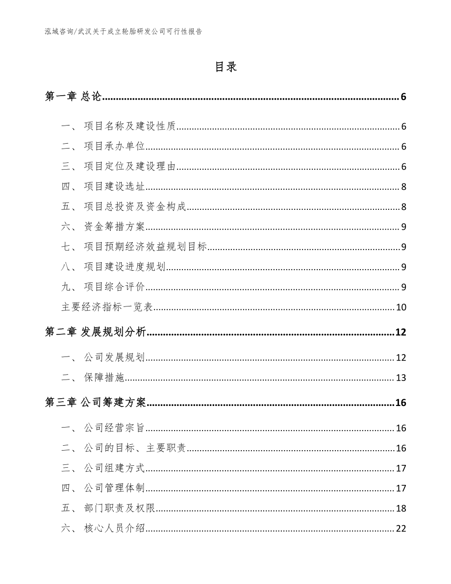 武汉关于成立轮胎研发公司可行性报告_第1页